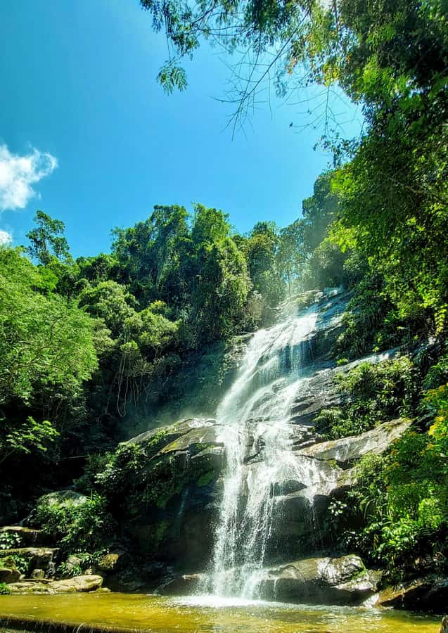Rio de Janeiro: Tijuca Forest Challenge Hike Full-Day Trip - What the guides add to the day