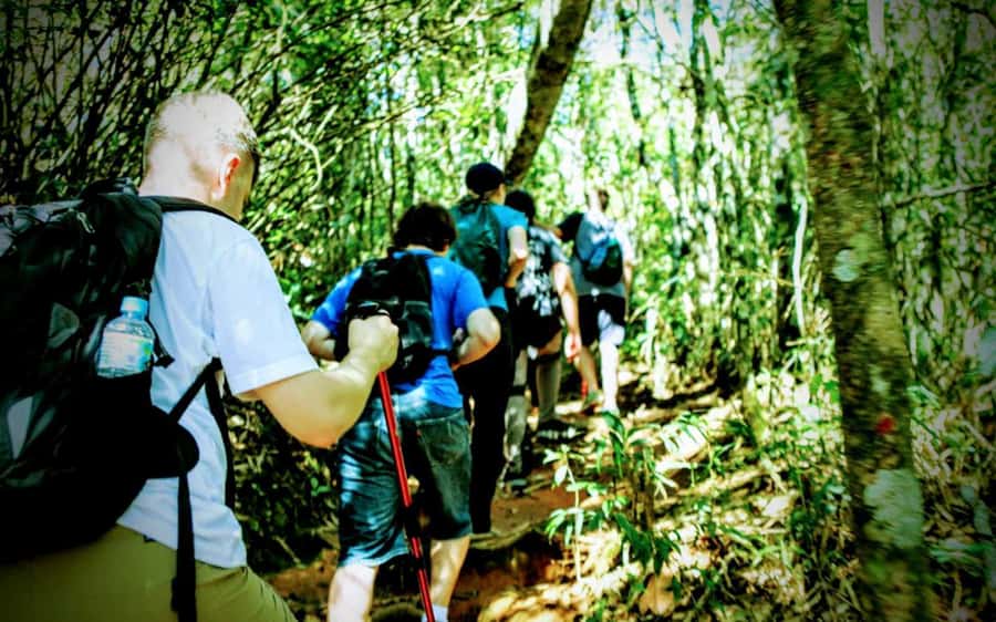 Rio de Janeiro: Tijuca Forest Challenge Hike Full-Day Trip - The climb to Taquara Hill and its two viewpoints