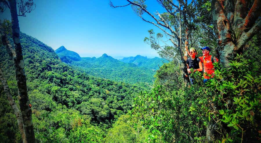 Rio de Janeiro: Tijuca Forest Challenge Hike Full-Day Trip - Grottos, the Bat Cave, and careful footing