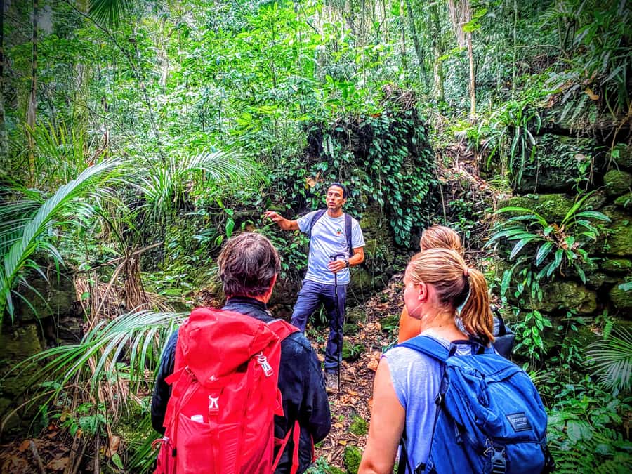 Rio de Janeiro: Tijuca Forest Challenge Hike Full-Day Trip - Vista Chinesa, a useful extra when the road is open