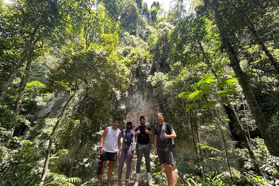 Rio de Janeiro: Tijuca National Park Tour - Which guide style suits you best