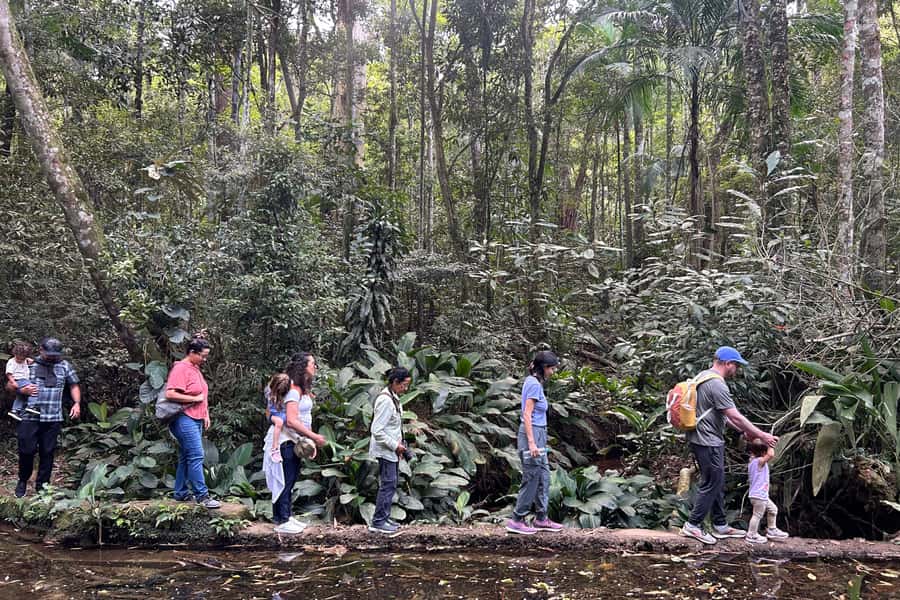 Rio de Janeiro: Tijuca National Park Tour - Why Tijuca National Park is worth your morning