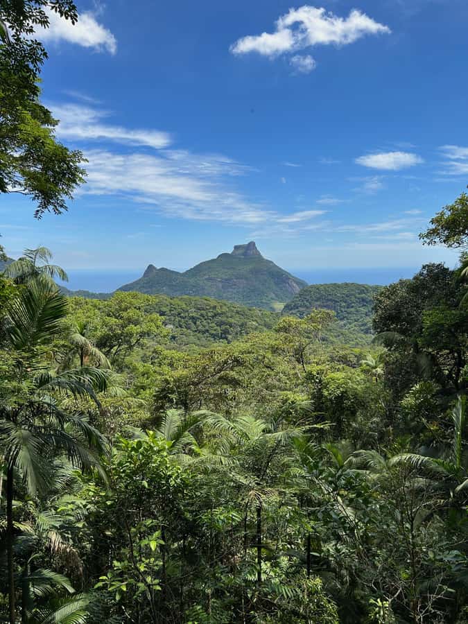 Rio de Janeiro: Tijuca National Park Tour - Cascatinha Taunay and the first forest views