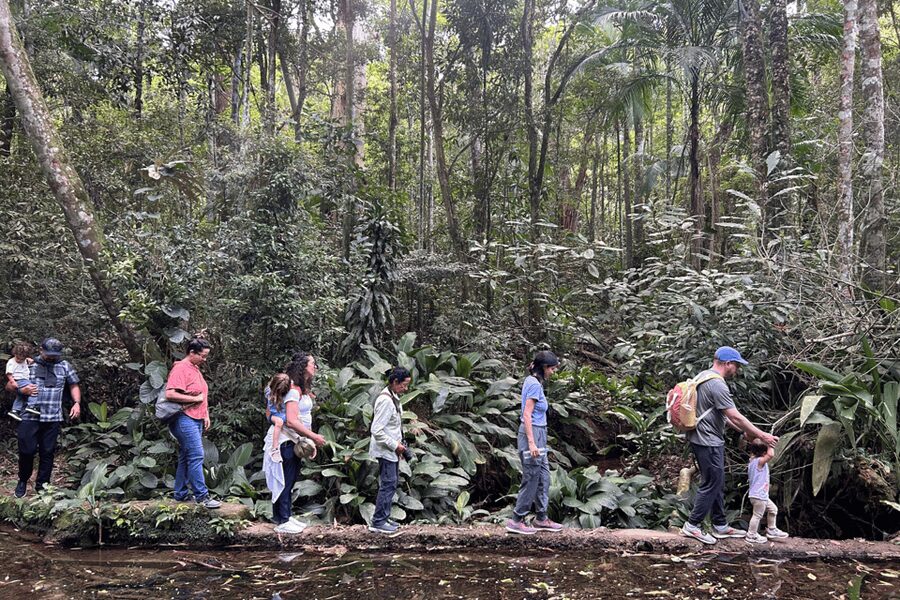 Rio de Janeiro: Tijuca National Park Tour - A Floresta and Gruta dos Morcegos