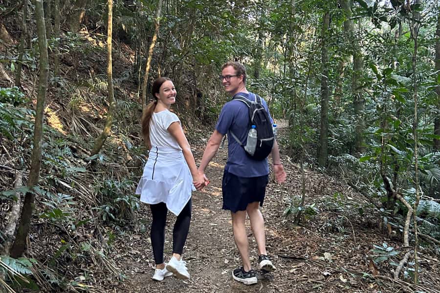 Rio de Janeiro: Tijuca National Park Tour - Wildlife: what you might actually see