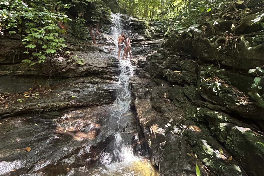 Rio de Janeiro: Tijuca National Park Tour - What the $79 price includes