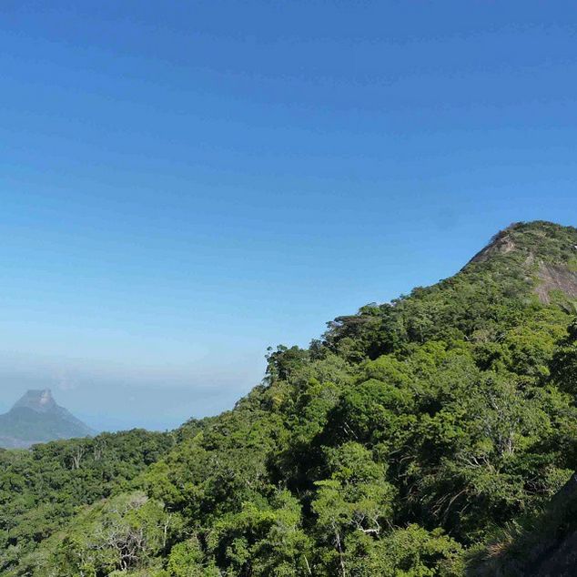 Rio de Janeiro: Tijuca Peak Guided Hike - Tijuca Mirim gives you a second viewpoint