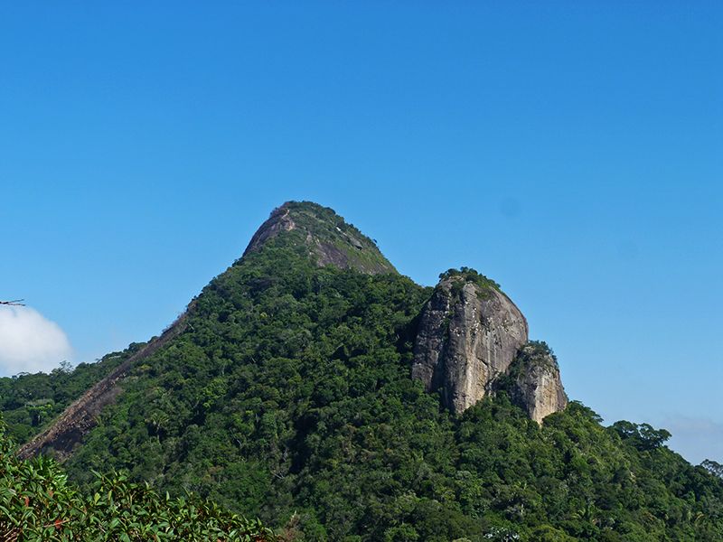 Rio de Janeiro: Tijuca Peak Guided Hike - How hard is the six-hour outing?