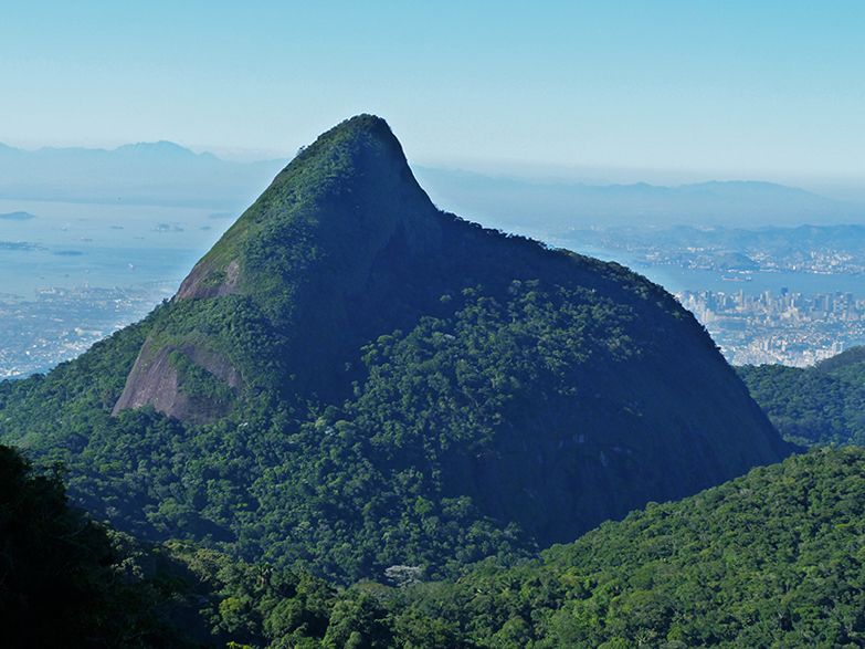 Rio de Janeiro: Tijuca Peak Guided Hike - Entering Tijuca National Park and getting your bearings