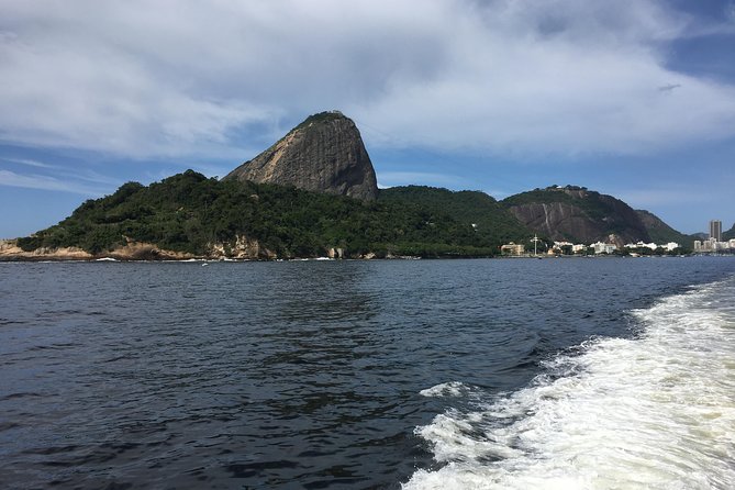 Rio From the Sea: Guanabara Bay Cruise with Optional Barbecue Lunch - Under the Rio-Niterói Bridge