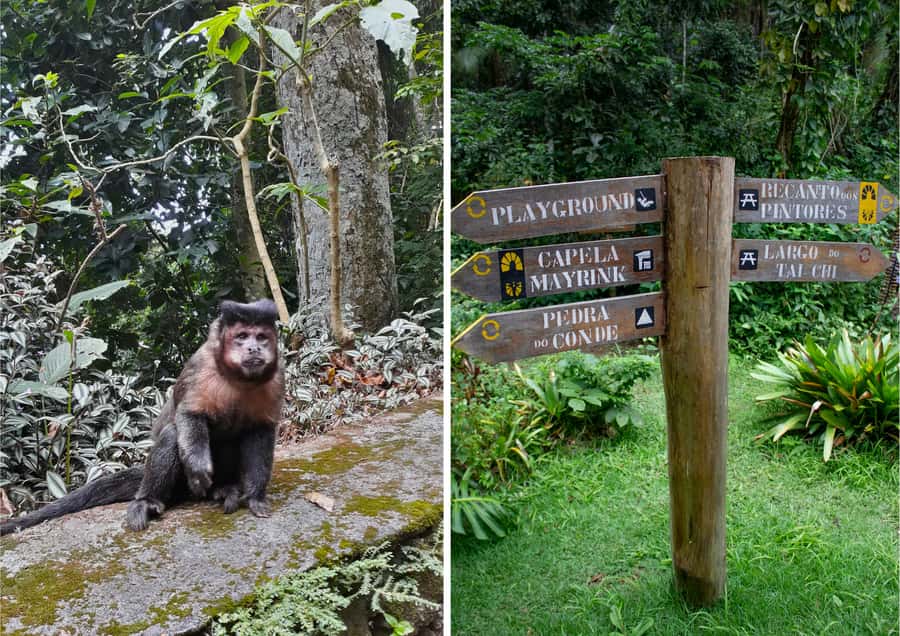 Rio: Half-Day Jeep Tour at Floresta da Tijuca - What the $60 price really covers
