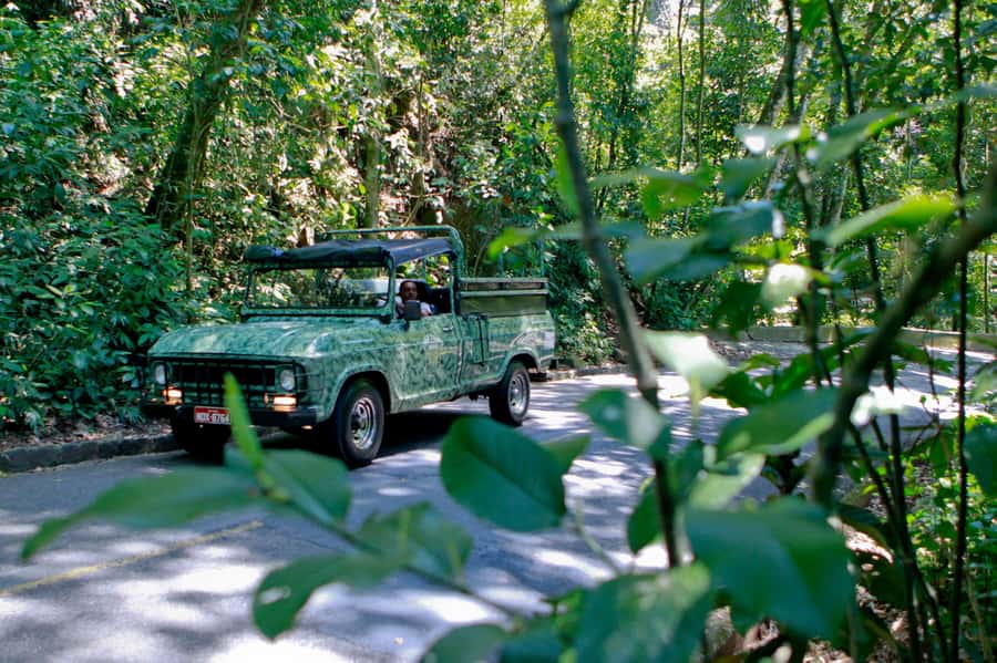 Rio: Half-Day Jeep Tour at Floresta da Tijuca - Entering Tijuca National Forest by open Jeep