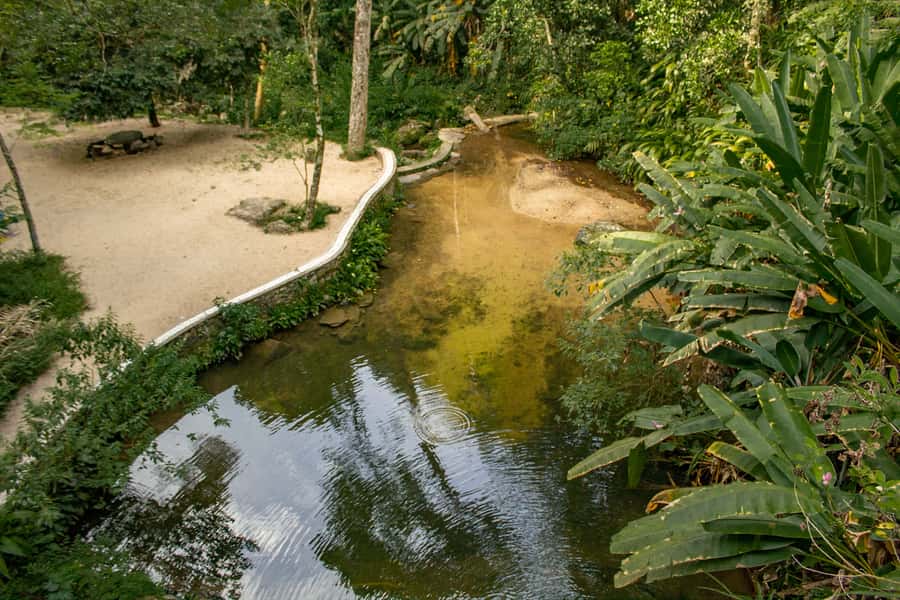 Rio: Half-Day Jeep Tour at Floresta da Tijuca - Cascatinha Taunay and the possible waterfall swim