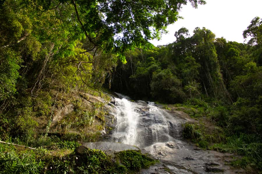 Rio: Half-Day Jeep Tour at Floresta da Tijuca - Capela Mayrink and the first short trail