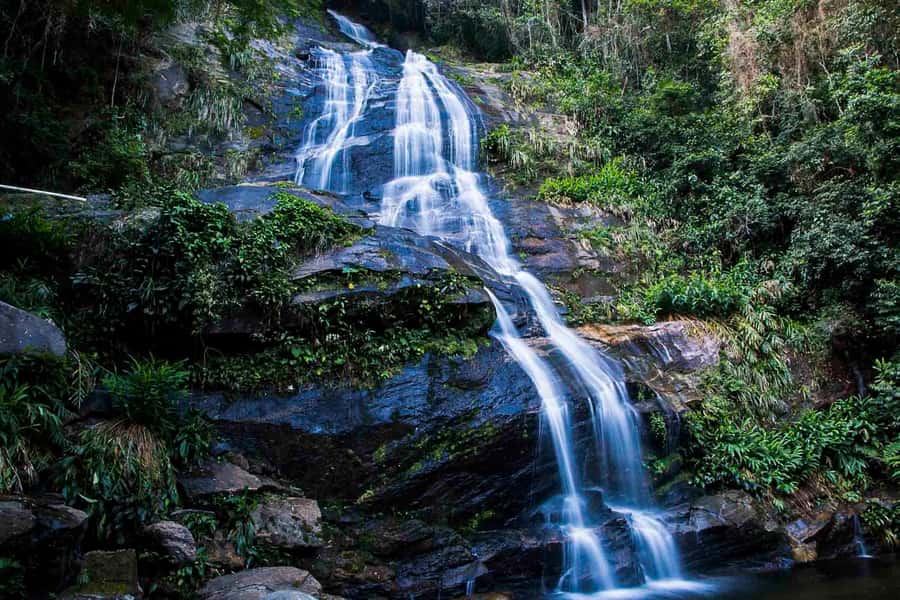 Rio: Half-Day Jeep Tour at Floresta da Tijuca - The second trail and the sounds of the forest