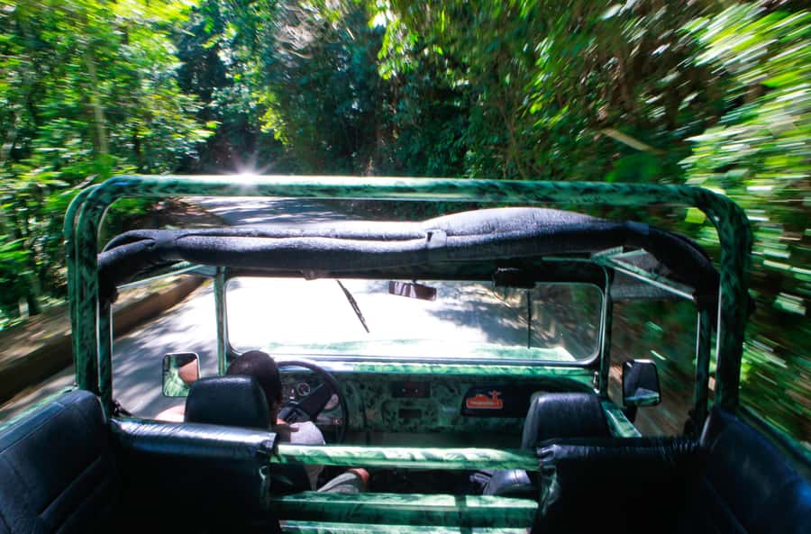 Rio: Half-Day Jeep Tour at Floresta da Tijuca - São Conrado and the final return drive