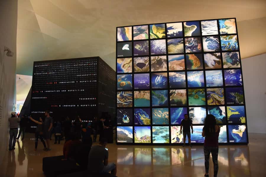 Rio: Olympic Boulevard, AquaRio and Museum of Tomorrow Tour - Who will enjoy this outing most?