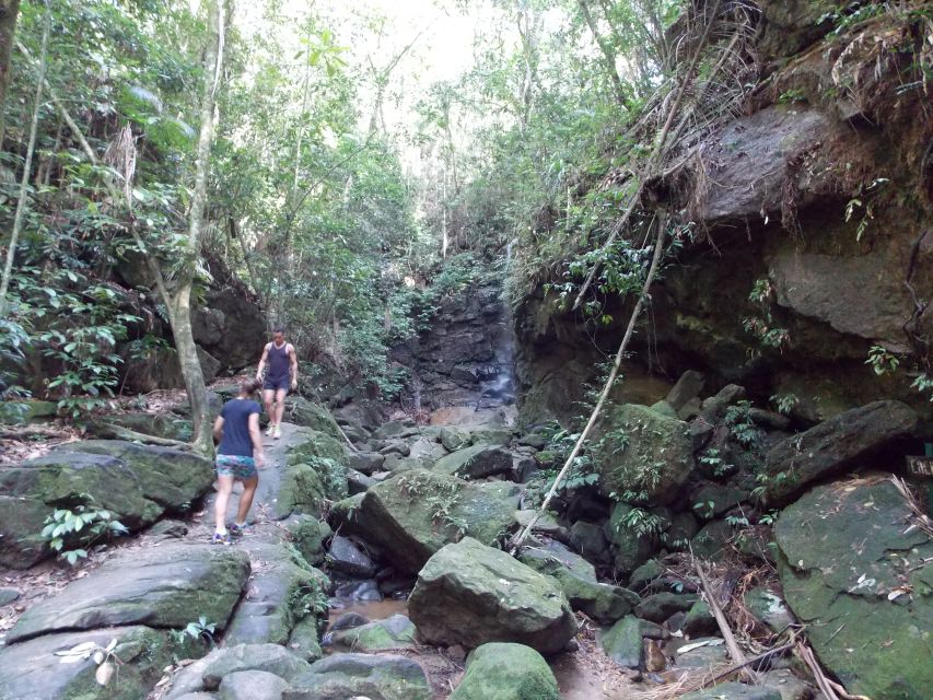 Rio: Tijuca Forest & Horto Waterfalls Circuit Tour - Why Horto is a smart break from Rio’s beaches