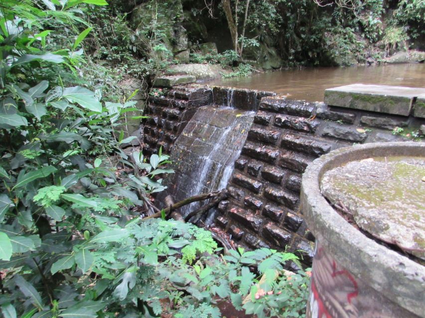 Rio: Tijuca Forest & Horto Waterfalls Circuit Tour - Starting in Jardim Botânico and entering the forest