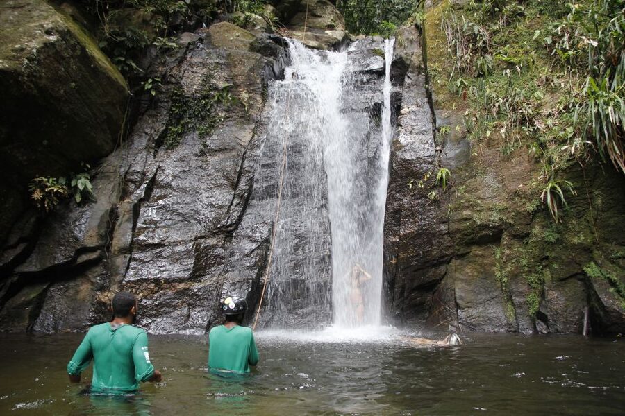 Rio: Tijuca Forest & Horto Waterfalls Circuit Tour - What the guide adds to the experience