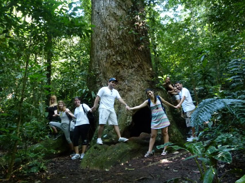Rio: Tijuca Forest & Horto Waterfalls Circuit Tour - What to bring for a comfortable four hours