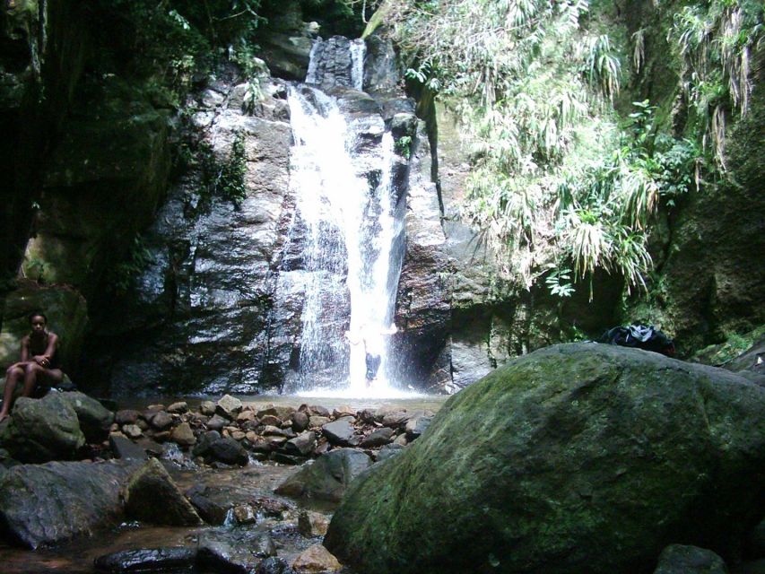 Rio: Tijuca Forest & Horto Waterfalls Circuit Tour - Timing, weather, and the practical limits