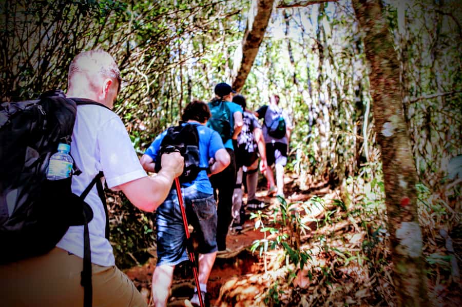 Rio: Tijuca Forest Small Group Hike to Caves and Waterfalls - How hard is the 6.2-kilometer hike?