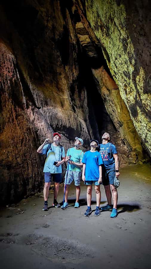 Rio: Tijuca Forest Small Group Hike to Caves and Waterfalls - From hotel pickup to Cascatinha Taunay
