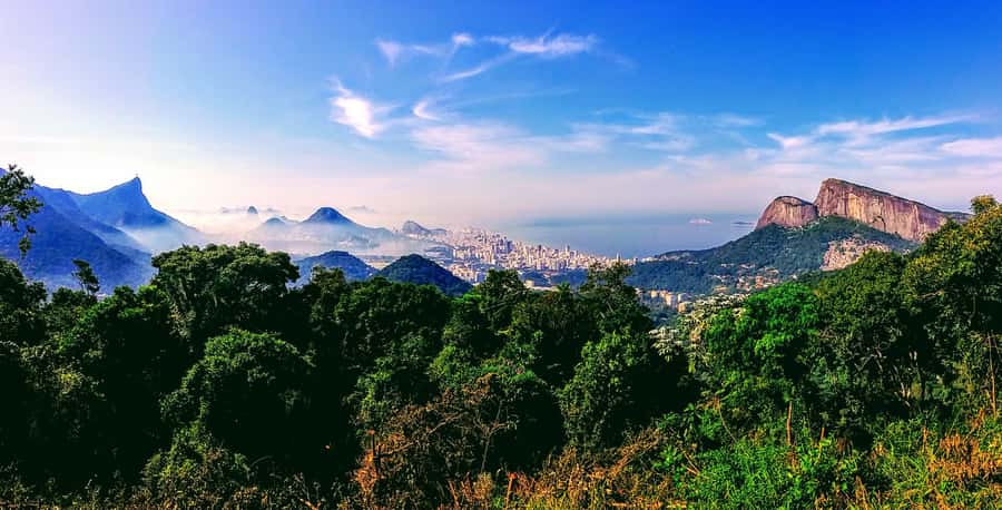 Rio: Tijuca National Park Small-Group Hike to Pedra Bonita - What the guides add to the experience
