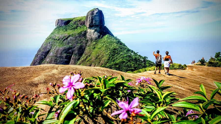 Rio: Tijuca National Park Small-Group Hike to Pedra Bonita - Practical packing advice