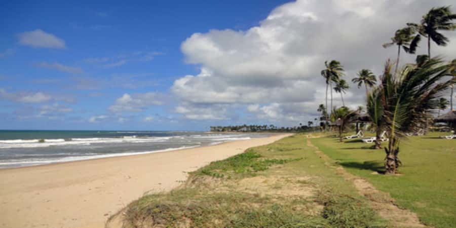 Salvador: Praia Do Forte and Guarajuba Beach Day Trip - Practical packing and planning advice