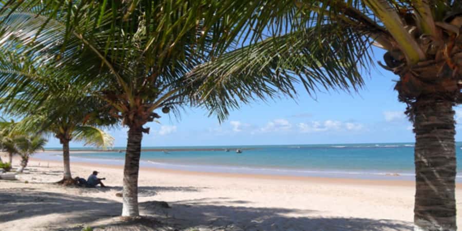 Salvador: Praia Do Forte and Guarajuba Beach Day Trip - Should you book Praia do Forte and Guarajuba?