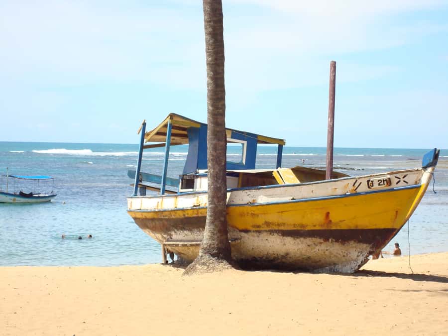 Salvador: Praia Do Forte and Guarajuba Beach Day Trip - Guarajuba Beach and the slower half of the day