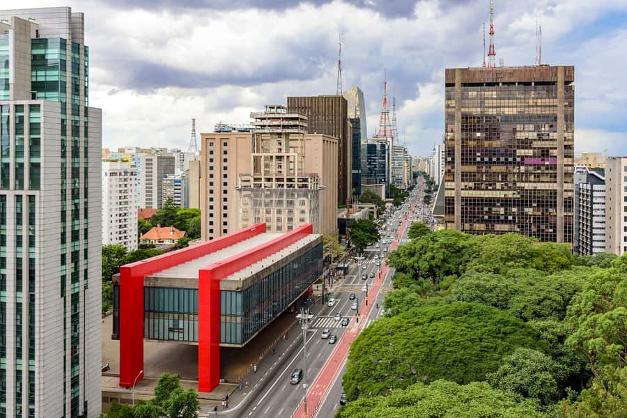São Paulo City: 5-Hour Private Tour - The Municipal Market is the tour’s main pause