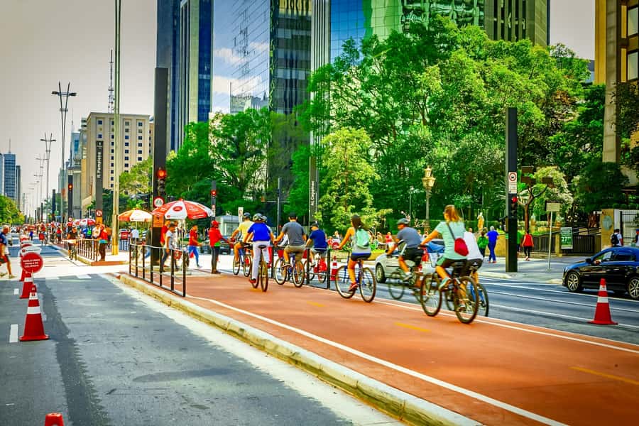São Paulo City: 5-Hour Private Tour - Paulista Avenue and the city’s working heart