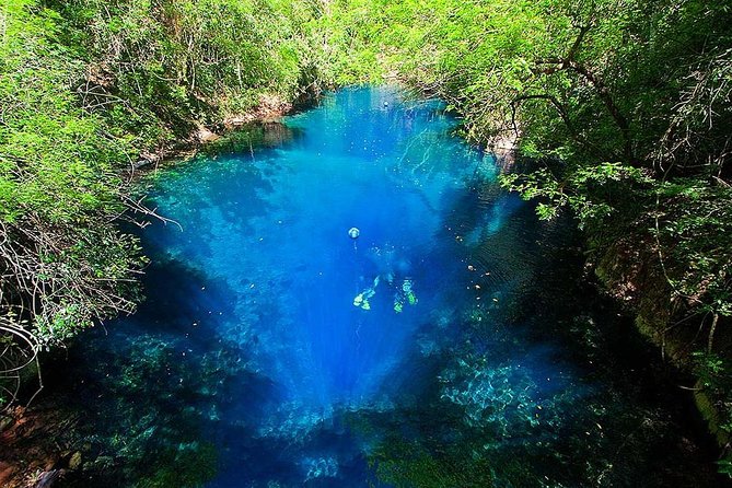 Skip the Line: Lagoa Misteriosa Admission Ticket with Scuba Diving Experience - Certified participants can go beyond the beginner limit