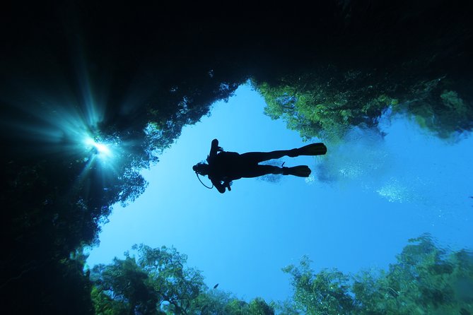 Skip the Line: Lagoa Misteriosa Admission Ticket with Scuba Diving Experience - What the strongest part of the experience is