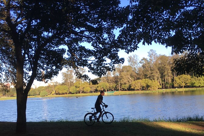Street Art and Park Bike Tour - Riding under the Minhocão and seeing public art in motion