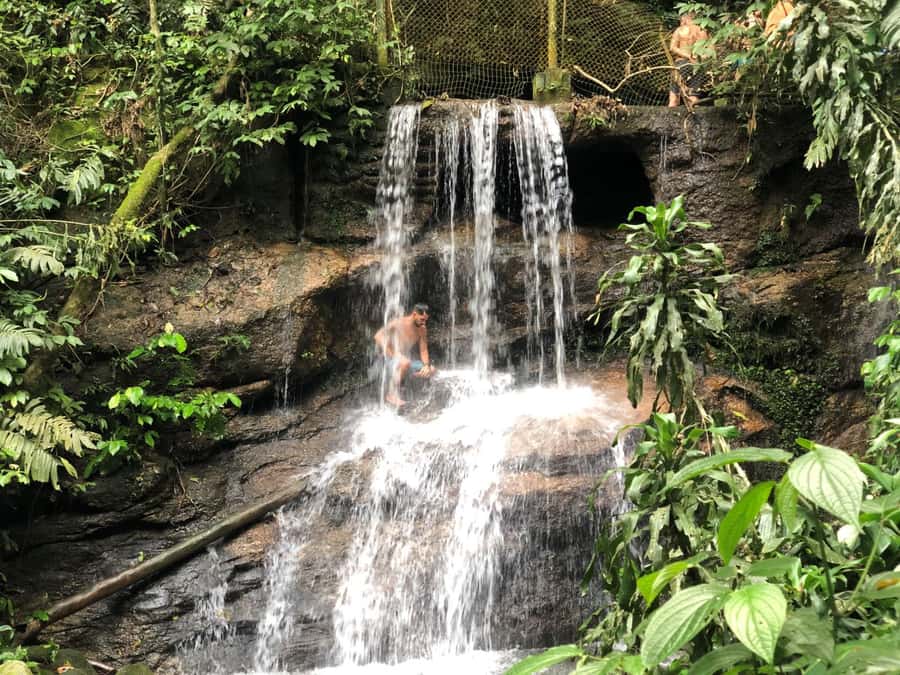 Tijuca Forest´s hike: caves, waterfalls and great views - Key points before you book