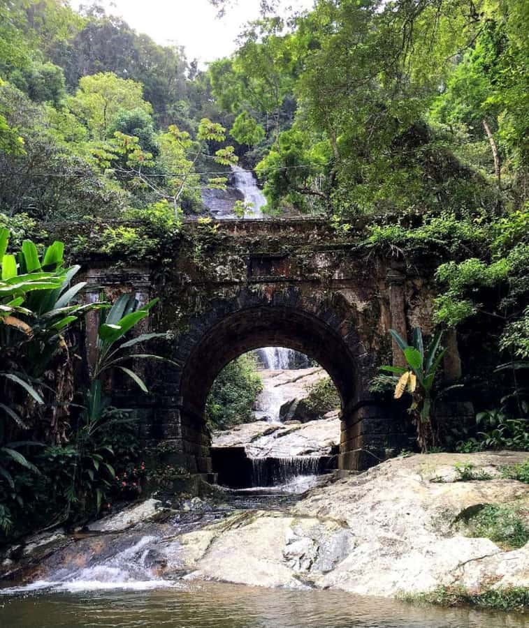 Tijuca Forest´s hike: caves, waterfalls and great views - Who will enjoy this Tijuca Forest hike
