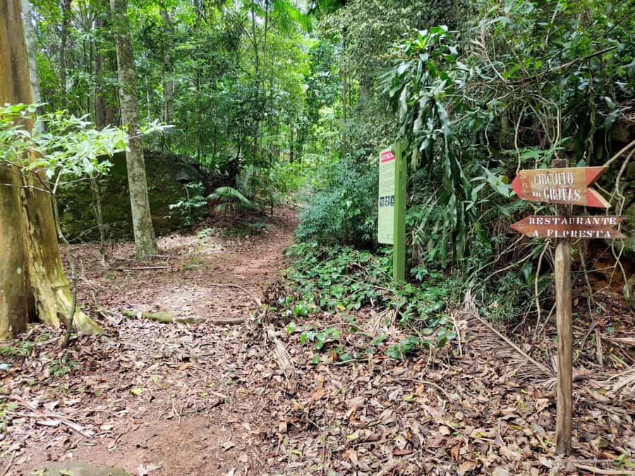 Tijuca Forest´s hike: caves, waterfalls and great views - Cachoeira das Almas and the chance to swim