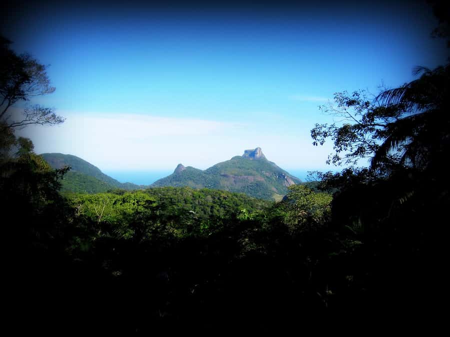 Tijuca Forest´s hike: caves, waterfalls and great views - What to bring for the four-hour route