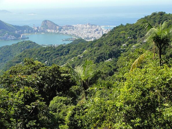 Tijuca National Park and all its wonders - Key points to know before you book