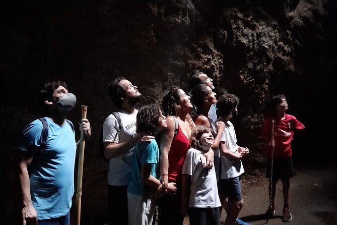 Tijuca National Park and all its wonders - Small falls, cool pools, and time to slow down