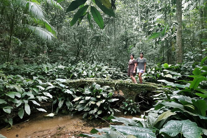 Tijuca National Park and all its wonders - Caves, rock climbers, and possible wildlife sightings