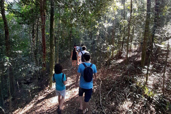 Tijuca National Park and all its wonders! - Meeting at Praça Afonso Viseu
