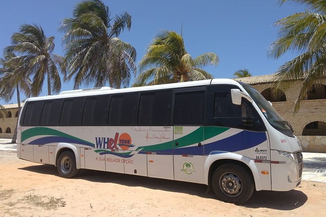 Transfer Out - From your Hotel in Natal to the Airport - The drive to Greater Natal International Airport
