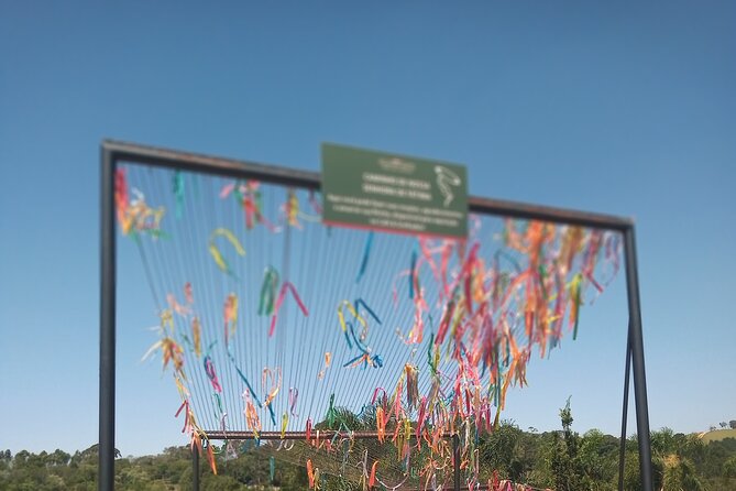Wine Tour in São Roque by Car, Tour with Local Guides - A private vehicle changes the feel of the day
