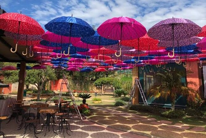 Wine Tour in São Roque by Car, Tour with Local Guides - Following São Roque’s Wine Route